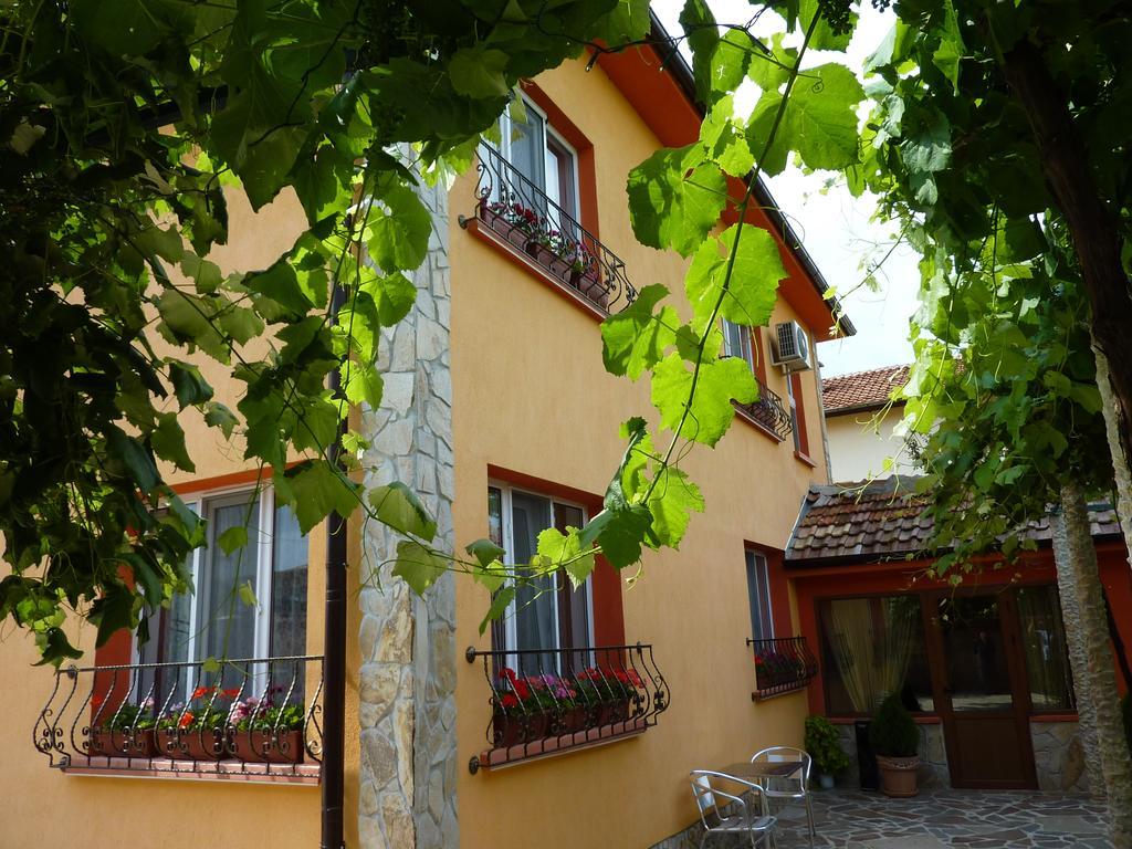 Villa Gamma Pavel Banja Eksteriør bilde